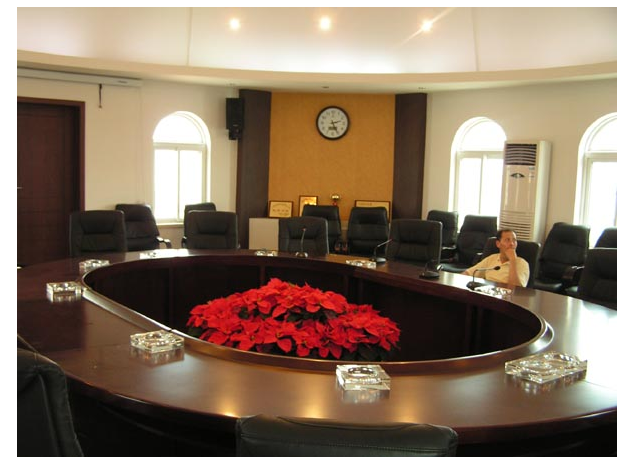 Tianjin Electric Power Conference Room